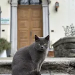 La Dolce Casa Di Panzió Cremia