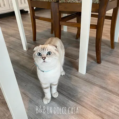 Couette-café La Dolce Casa Di 3*