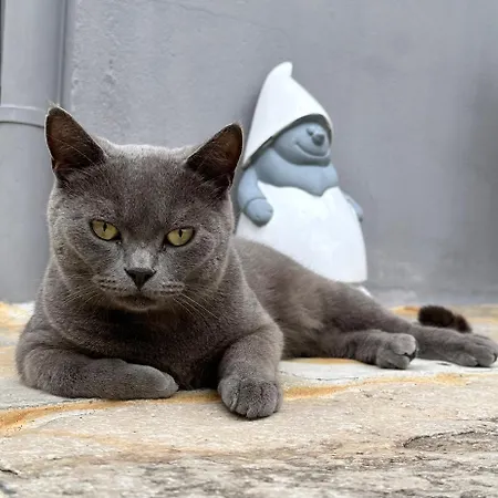 Couette-café La Dolce Casa Di 3*