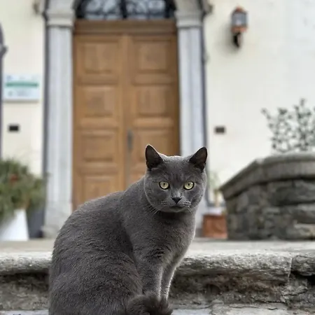 La Dolce Casa Di Couette-café Cremia