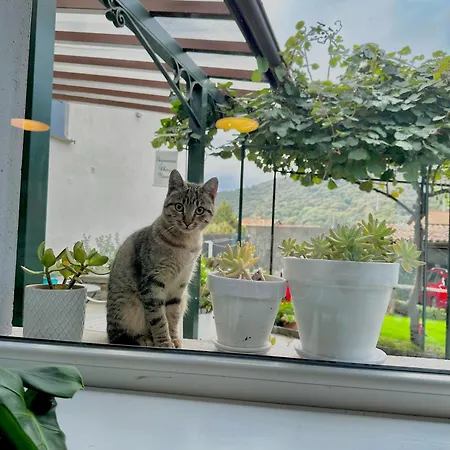 La Dolce Casa Di Couette-café Cremia