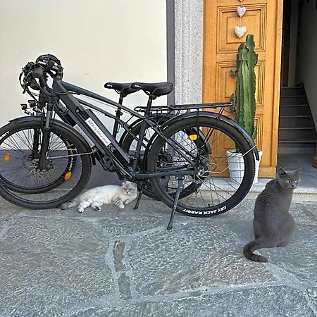 La Dolce Casa Di Frühstückspension 4*