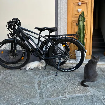 La Dolce Casa Di *