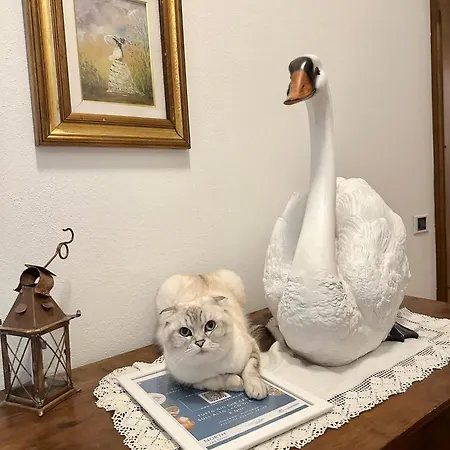 La Dolce Casa Di